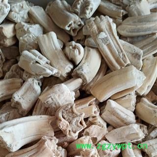 龙齿 青龙齿  净货 产地 宁夏回族自治区图2