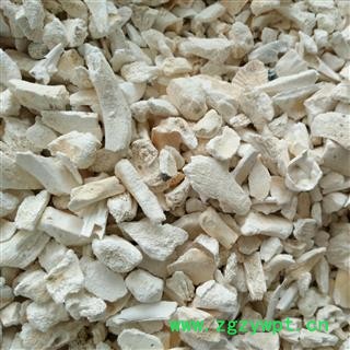 龙骨 统 产地 新疆维吾尔自治区图2