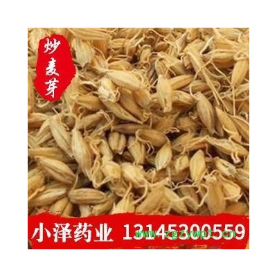 麦芽 炒麦芽统货 产地 山东省