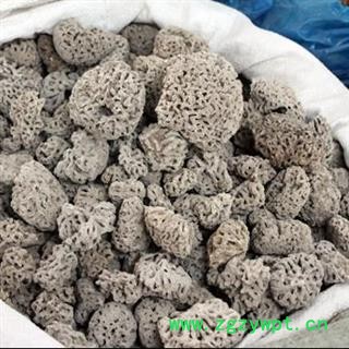 浮水甘石 海浮石 小海浮石 统货 产地 河北省图4