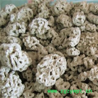 浮水甘石 海浮石 小海浮石 统货 产地 河北省图3