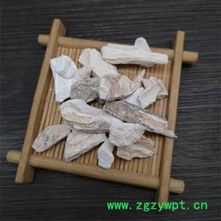 龙骨 生龙骨 五花龙骨 龙骨 煅龙骨图3