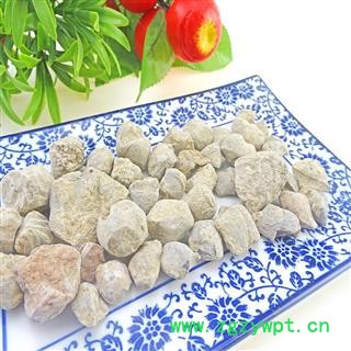 石燕 中药材 大石燕 石燕子 燕子石 水飞石燕图2