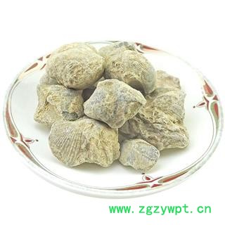 石燕 中药材 大石燕 石燕子 燕子石 水飞石燕图4