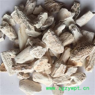 龙骨 龙骨块  产地 甘肃省图2