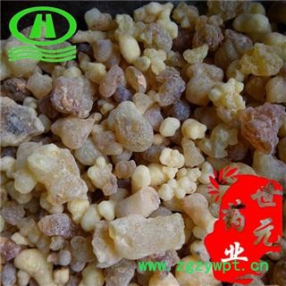 世元药业 乳香珠 别称-明乳香 乳头香 天泽香 大个乳珠图2