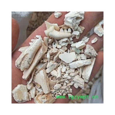 龙齿 正品龙齿 产地 甘肃省嘉峪关市