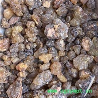 乳香 原乳香 产地 广西壮族自治区 买好药找娟子图2