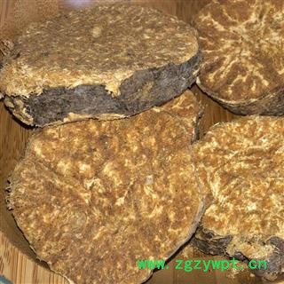 圣草康园阿魏根新疆阿魏臭阿魏真阿魏阿魏根图2