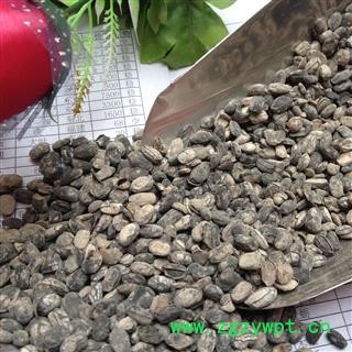 淡豆豉 淡豆豉统货 产地 山西省图3