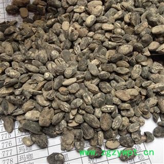 淡豆豉 淡豆豉统货 产地 山西省图2