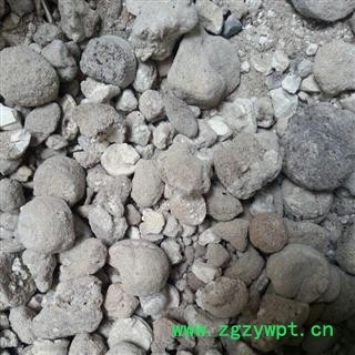 吉康药业中药材天竺黄 天竺黄图2