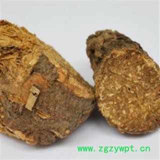 新辉药业正品阿魏  阿魏根图2