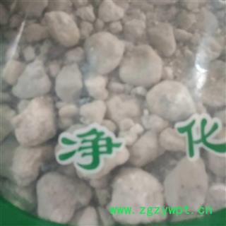 新辉药业正品天竺黄 天然竺黄图2