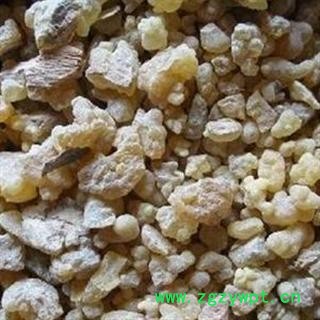 乳香 乳香二级 产地 海外 国药堂 专注品质图4