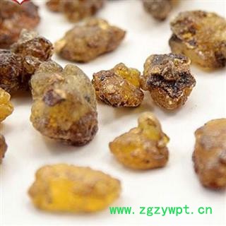 乳香 乳香 产地 海外 华美中药 产地直销 重在品质图2