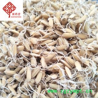 稻芽 新货 选 国药堂 专注品质 产地 安徽省图2