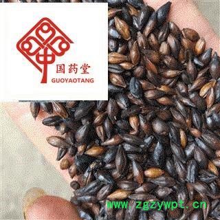 麦芽  焦麦芽 焦三仙 产地 山东省 国药堂 专注品质图2