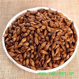 大麦茶 茶用大麦茶正品保证质量 中药材批发 丽丽药业图2