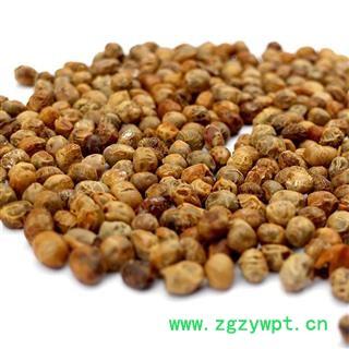 【满298元包邮】淡豆豉 淡豆豉统货 产地 四川省 一公斤一袋图3