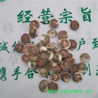 瑞森药材行太极石 水云母 海螺盖 催生子 甲香图2