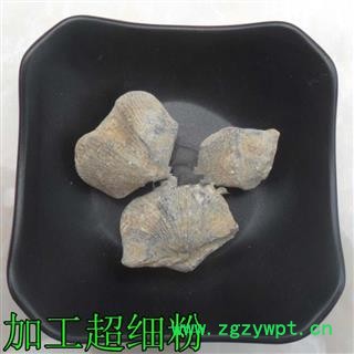 批发中药材石燕 石燕子 各种矿石 量大从优图3