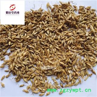 麦芽 生麦芽带芽多 产地直销实物拍摄 产地山东省图2