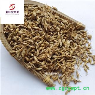 麦芽 生麦芽带芽多 产地直销实物拍摄 产地山东省图3