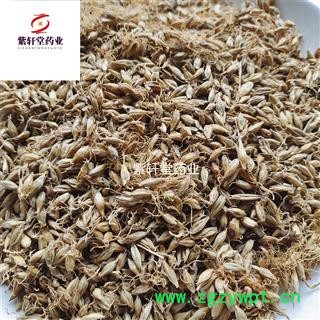 麦芽 生麦芽带芽多 产地直销实物拍摄 产地山东省图4