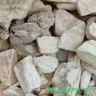 龙骨 煅龙骨统货 产地 甘肃省 娟子中药行图3