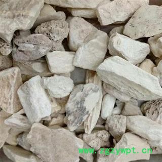 龙骨 煅龙骨统货 产地 甘肃省 娟子中药行图2