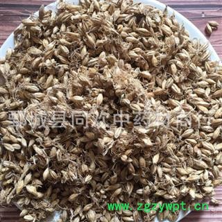 【麦芽】@【同欢药材】中药材批发供应  规格齐全 量大从优 产地 山东省图3