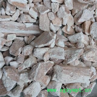 龙骨 龙骨好统装 产地 宁夏回族自治区图3