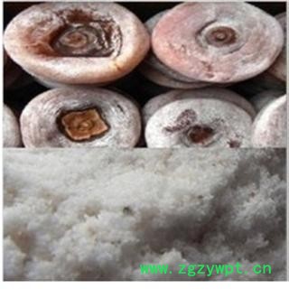 世元药业 柿霜 正品 白柿结晶 干柿白霜 柿霜饼 干净图2