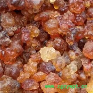 中药材 药用 食用 桃油 桃脂 桃花泪 桃树胶 桃凝图2