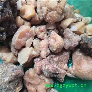 新辉药业阿魏  臭阿魏 新疆阿魏图3