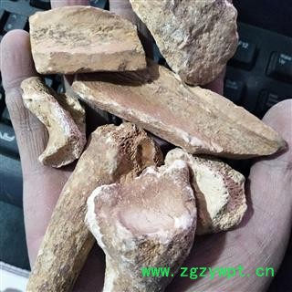 五花龙骨 实图拍摄新货正品水洗锻龙骨，自己加工地道药材炒锻龙骨 产地 甘肃省图3