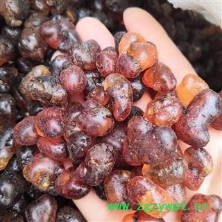 新辉药业桃胶 大颗粒桃胶 无硫干货图3