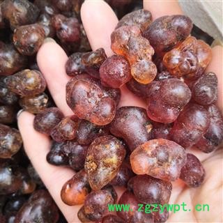 新辉药业桃胶 大颗粒桃胶 无硫干货图2