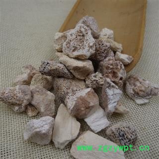 龙骨 正品龙骨块 粘舌头 实图拍摄 好货低价售 过筛无粉末 产地 甘肃省图2