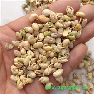 大豆黄卷 大豆卷 黄豆卷 黄卷皮 正品保证质量7天无理由退货退款 华安堂图3