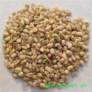 大豆黄卷 大豆卷 黄豆卷 黄卷皮 正品保证质量7天无理由退货退款 华安堂图4