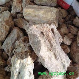 琥珀 个子统图2