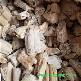 龙齿选 产地 甘肃  中药材图3