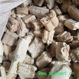 龙齿选 产地 甘肃  中药材图2