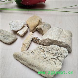 龙骨  水洗龙骨 净货 产地 甘肃省图2