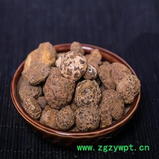 蛇含石、蛇黄、蛇黄石 中药材图4