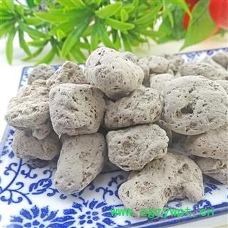 海浮石 天然纯新货 中药材 水花海石 水泡石 浮海石 浮水石图3