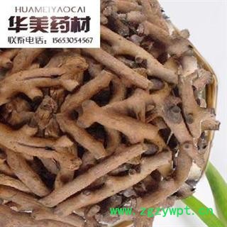 骨碎补 骨碎补统个 产地 云南 华美中药 产地直销 重在品质图3