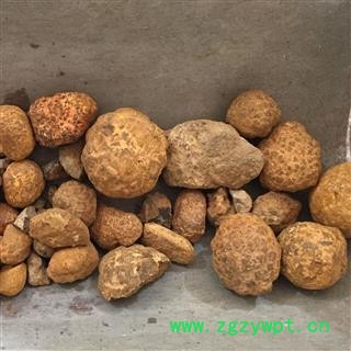 圣草康园 蛇含石、蛇黄、蛇黄石图2